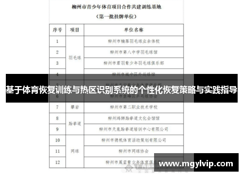 基于体育恢复训练与热区识别系统的个性化恢复策略与实践指导