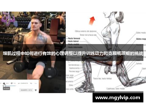 增肌过程中如何进行有效的心理调整以提升训练动力和克服瓶颈期的挑战